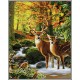 Kit pictura pe numere Schipper - Caprioare in padure