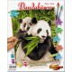 Kit pictura pe numere Schipper - Ursuletii Panda