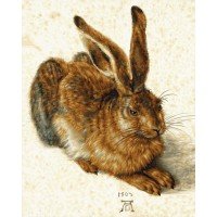 Kit pictura pe numere Schipper - Young Hare de Albrecht Durer