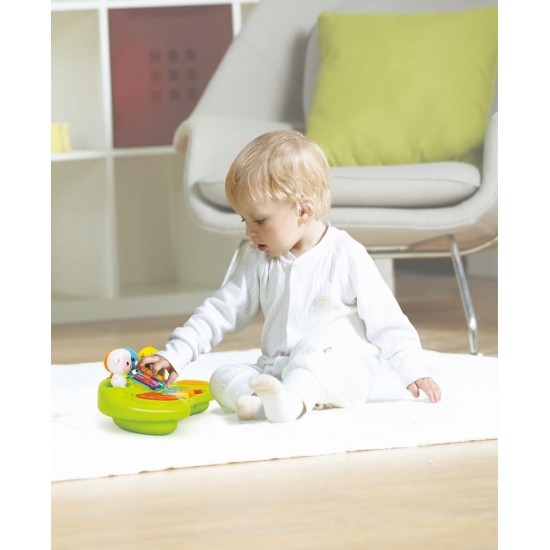 Orga muzicala a animalutelor Hola Toys