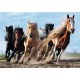 Puzzle Trefl 1000 piese - Cai la galop