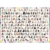 Puzzle Trefl 1000 piese - Pisici 208 la numar