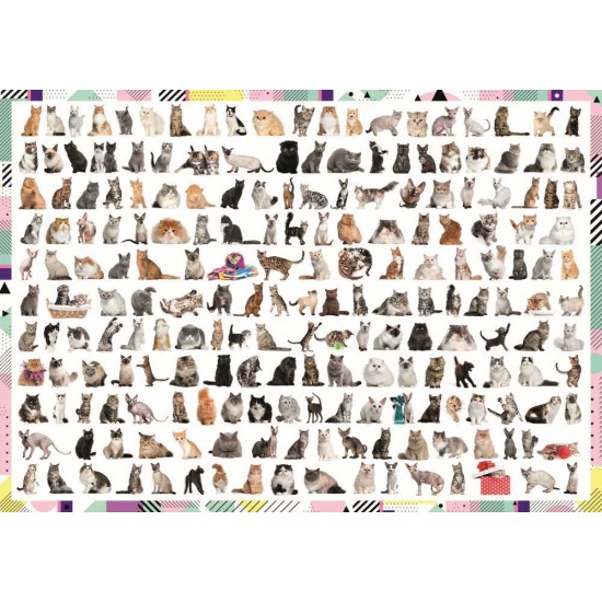 Puzzle Trefl 1000 piese - Pisici 208 la numar