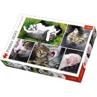 Puzzle Trefl 1500 piese - Viata pisicilor