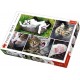 Puzzle Trefl 1500 piese - Viata pisicilor