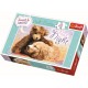 Puzzle Trefl Noapte buna 60 piese
