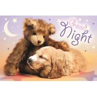 Puzzle Trefl Noapte buna 60 piese