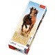 Puzzle Trefl Panorama Cal Galopand