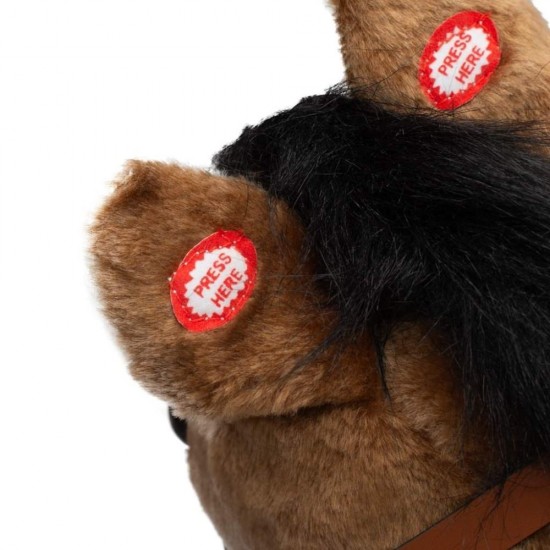 Balansoar cu melodii PlayTo Calut Maro