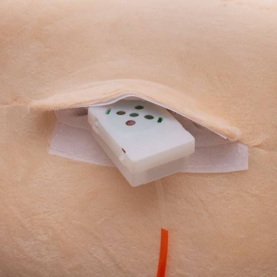 Balansoar cu melodii PlayTo Ursulet cu Dungi