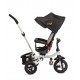 Tricicleta copii reversibila si pliabila Toyz Wroom Black