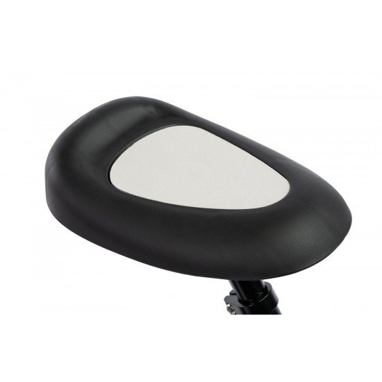 Tricicleta copii 2 in 1 Toyz Fox Turcoaz