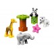 LEGO Duplo - Pui de animale 10904