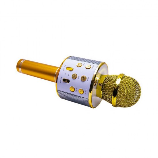 Microfon karaoke cu baterii - Auriu