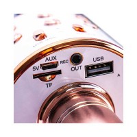 Microfon karaoke cu baterii - Negru