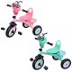 Tricicleta cu pedale muzica si lumina - Fluturas