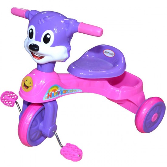 Tricicleta cu muzica - Catel