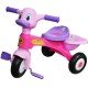 Tricicleta cu muzica - Ratusca