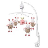 Carusel muzical - Prietenii din gradina