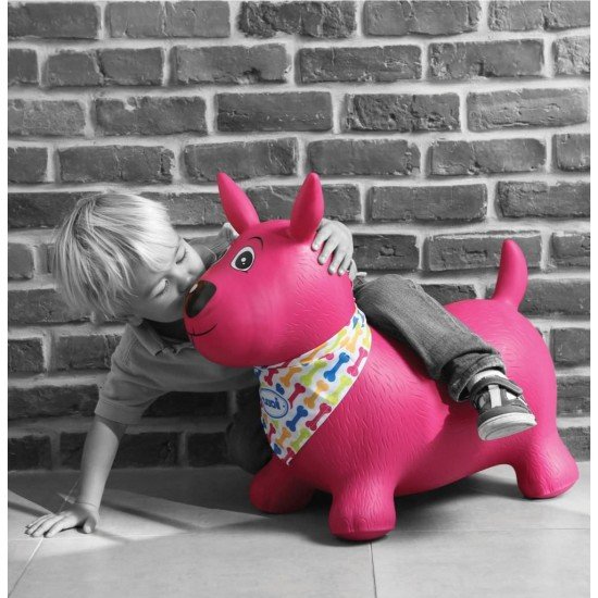 Catel Saltaret Roz - Ludi