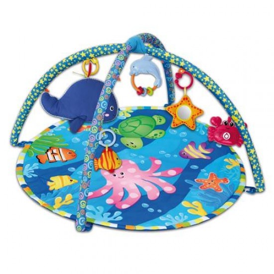 Centru de activitate muzical Piccino Piccio