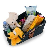 Cutie Depozitare Auto - Organize Me