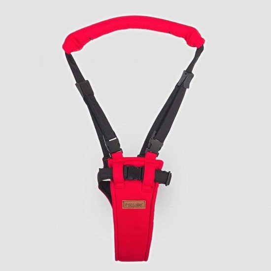 Ham Coccolle Benito Rosu