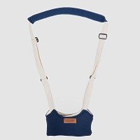 Ham Coccolle Celso Albastru