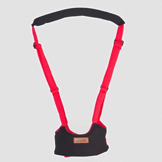 Ham Coccolle Celso Negru