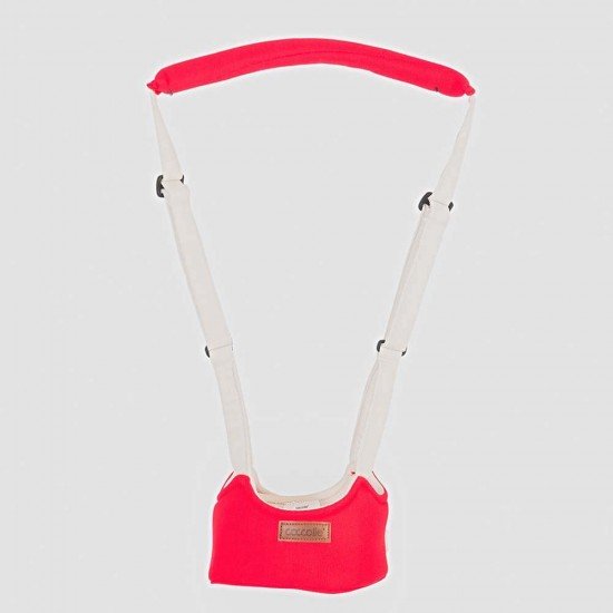 Ham Coccolle Celso Rosu