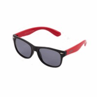 Ochelari de soare pentru copii polarizati Pedro PK101-12