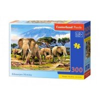 Puzzle 300 piese - Castorland