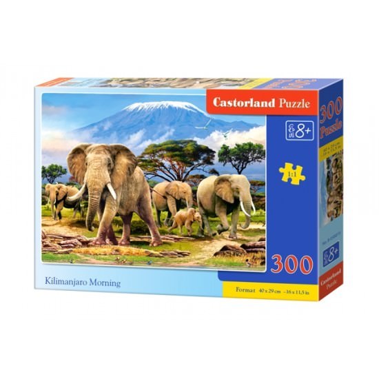 Puzzle 300 piese - Castorland