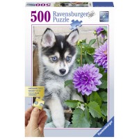 PUZZLE CATEL HUSKY, 500 PIESE
