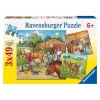 PUZZLE LUMEA CAILOR , 3x49 PIESE