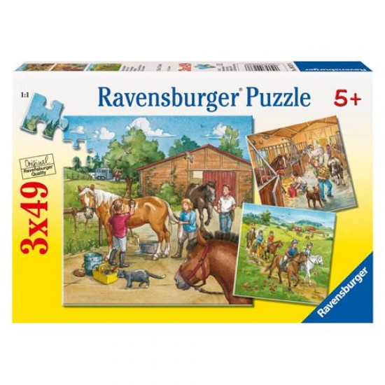 PUZZLE LUMEA CAILOR , 3x49 PIESE