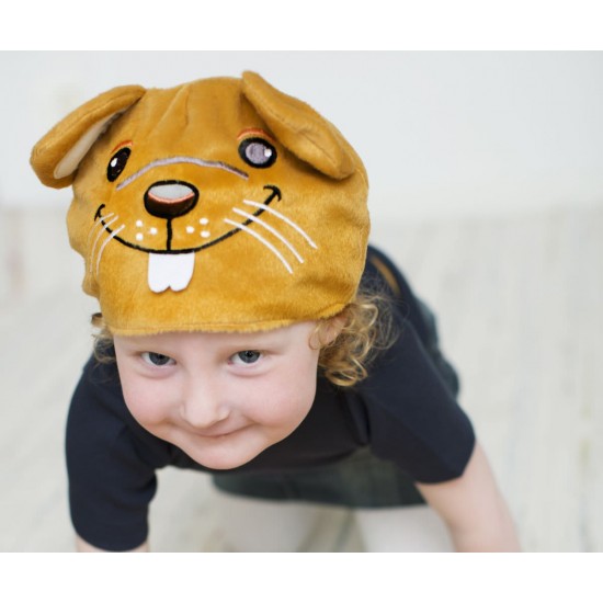 Set accesorii deghizare Maestrul Sobolan