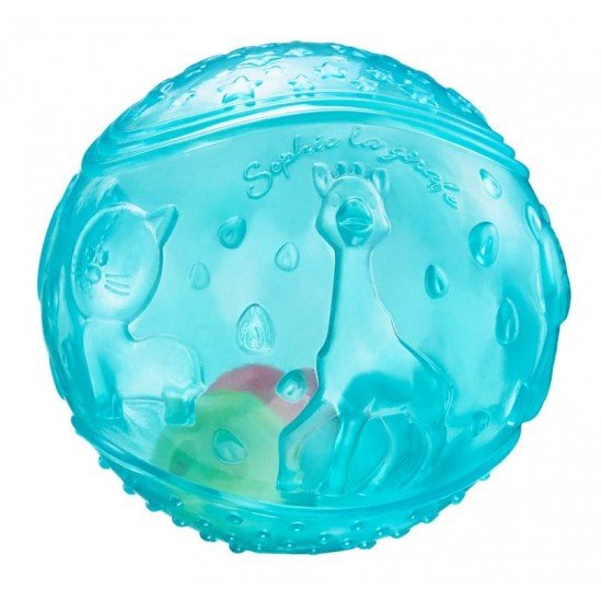 Minge senzoriala - Vulli