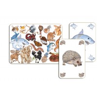 Zanimatch joc de observatie Djeco